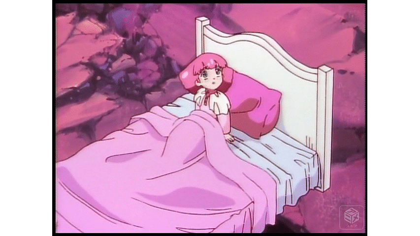 【貴重】魔法少女ミンキーモモ TVアニメ化40周年記念『魔法のプリンセス ミンキーモモ』第1期・第2期