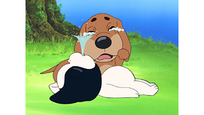 #35