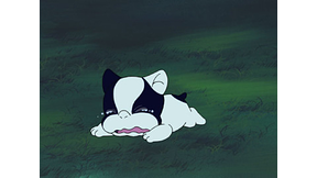 #37