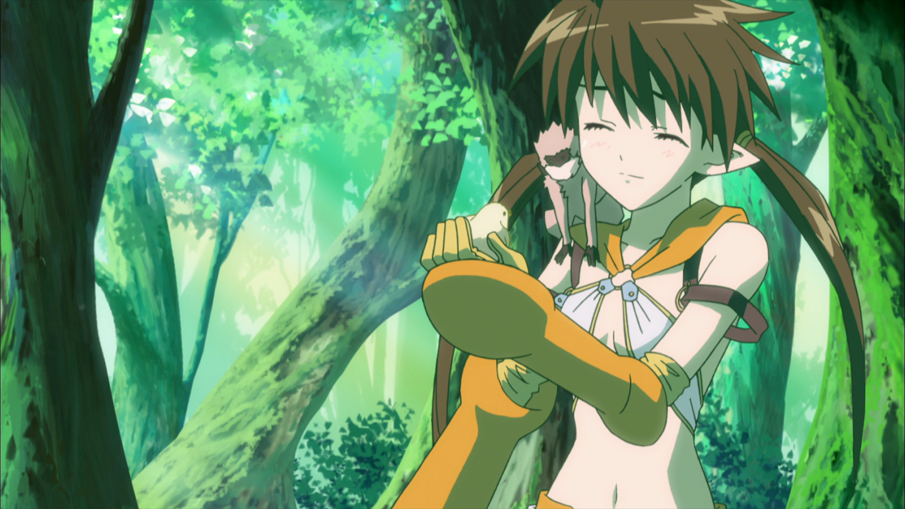 クイーンズブレイド 流浪の戦士 第6話 | dアニメストア