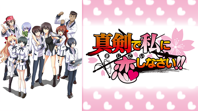 真剣で私に恋しなさい! Tシャツ Lサイズ 漫画 アニメ 映画 ゲーム 声優 Amazon.co.jp: 真剣で私に恋しなさい！！① [DVD] : 神谷浩史