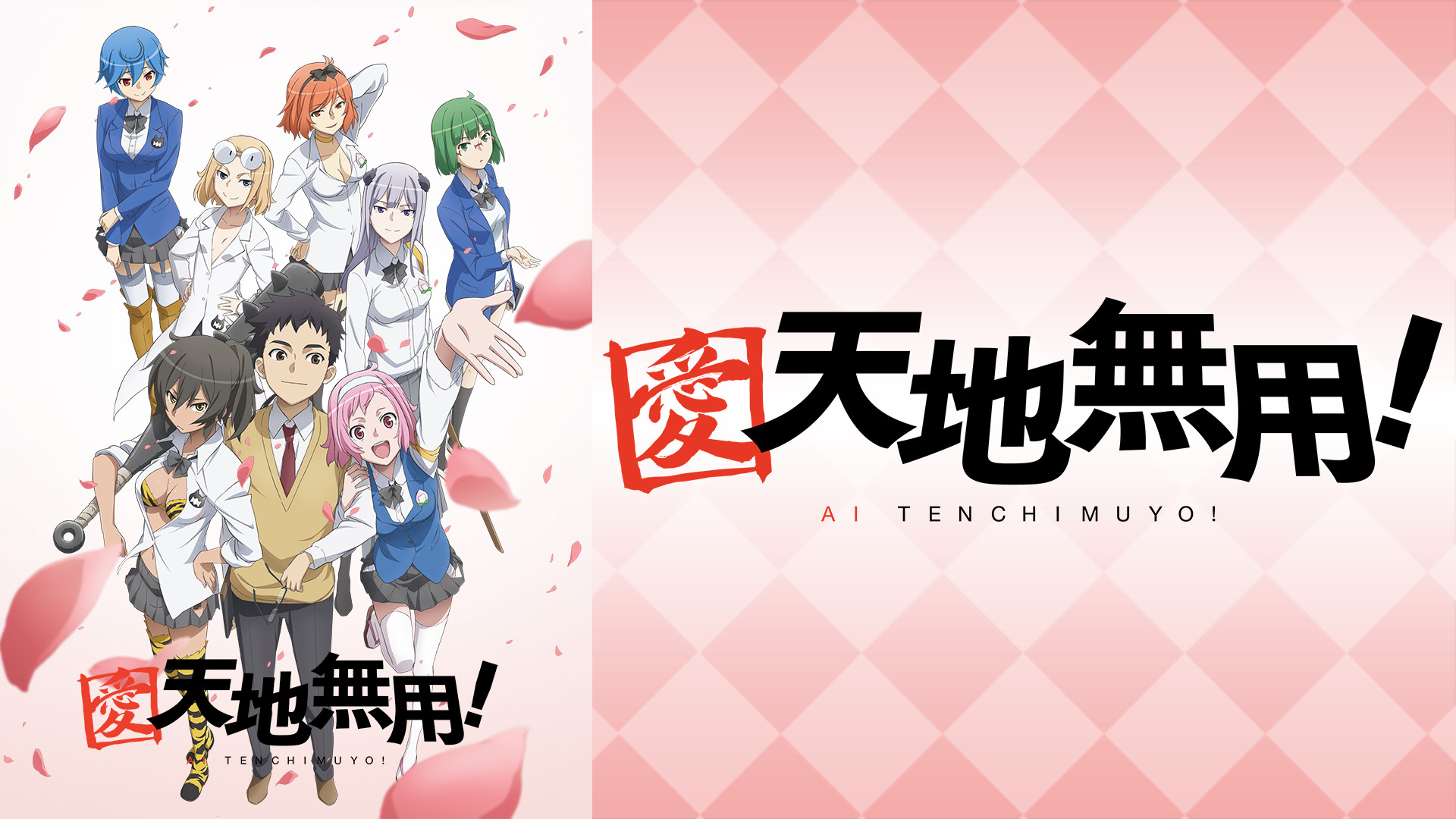 愛・天地無用！ | アニメ動画見放題 | dアニメストア