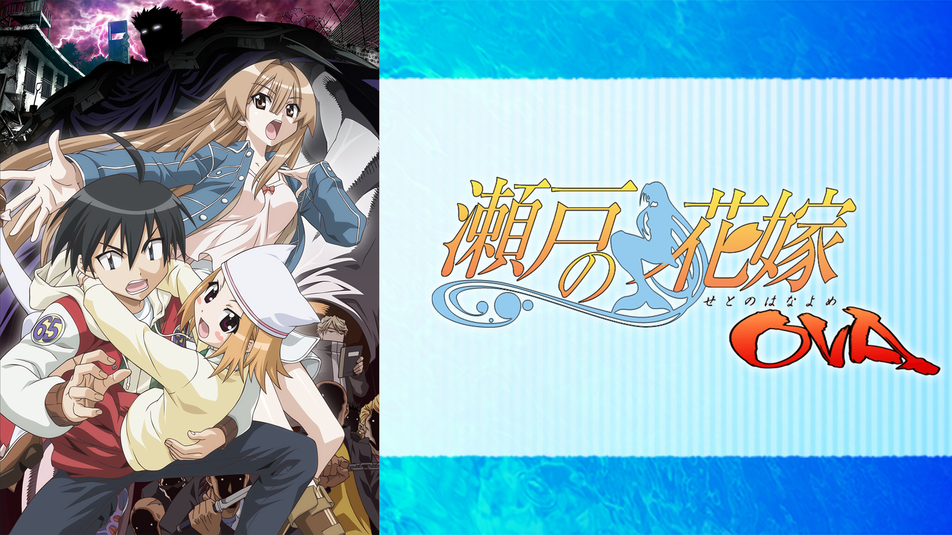 「購入不可 確認中」瀬戸の花嫁　OVA　DVDセット　ねんどろいどぷち付き 購入不可 確認中」瀬戸の花嫁 OVA DVDセット ねんどろいどぷち付き