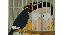 カンヅメのペット／フクロウの目