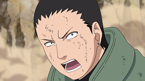 第四百九十四話