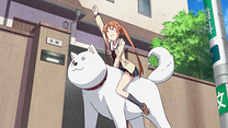 10ふさめ