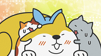 第9さやめ～第12さやめ