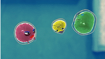 #5～＃8