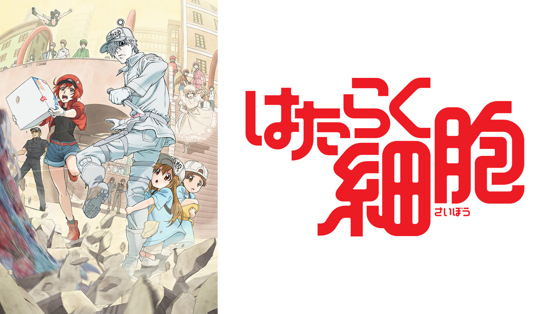 アニメ『はたらく細胞』の作品画像