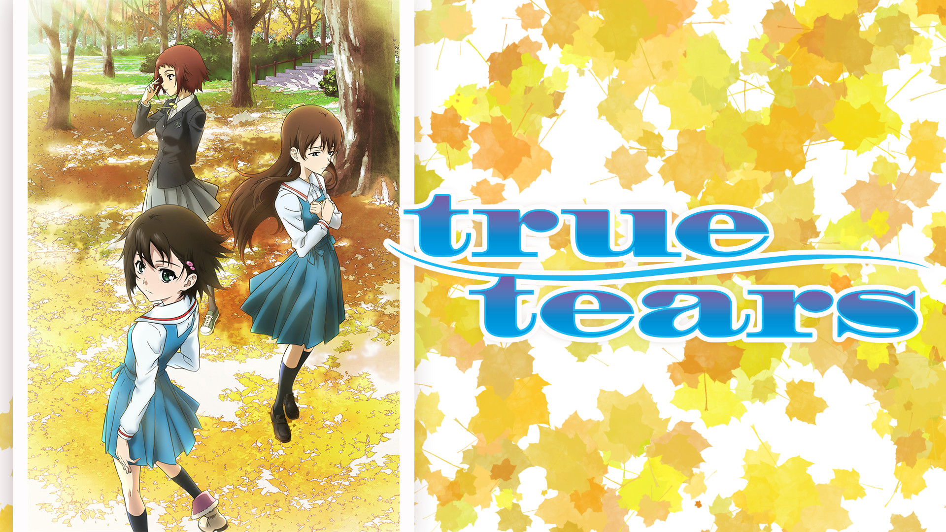 true tears | アニメ動画見放題 | dアニメストア