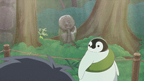 第19羽～第24羽