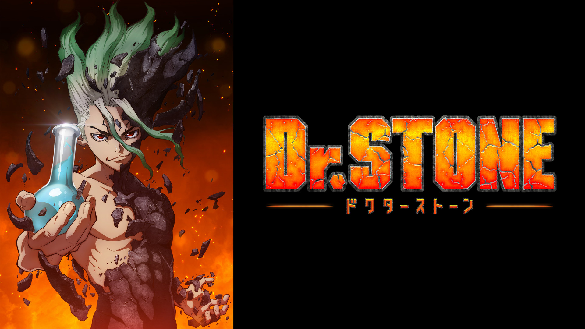 アニメ『Dr.STONE』の作品画像
