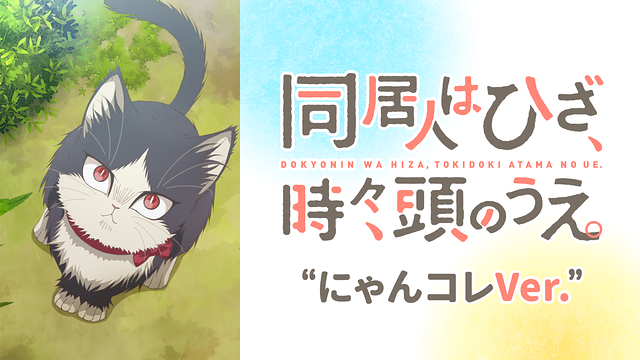 同居人はひざ、時々、頭のうえ。 | COMICポラリス