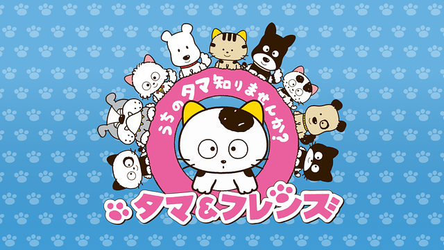 タマ＆フレンズ～うちのタマ知りませんか？～ シーズン2_1