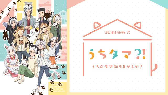 うちタマ?! ～うちのタマ知りませんか？～_1