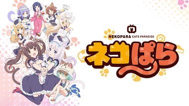 ネコぱらOVA | アニメ動画見放題 | dアニメストア