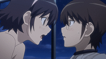 FLAG. 12.0