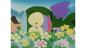 #31