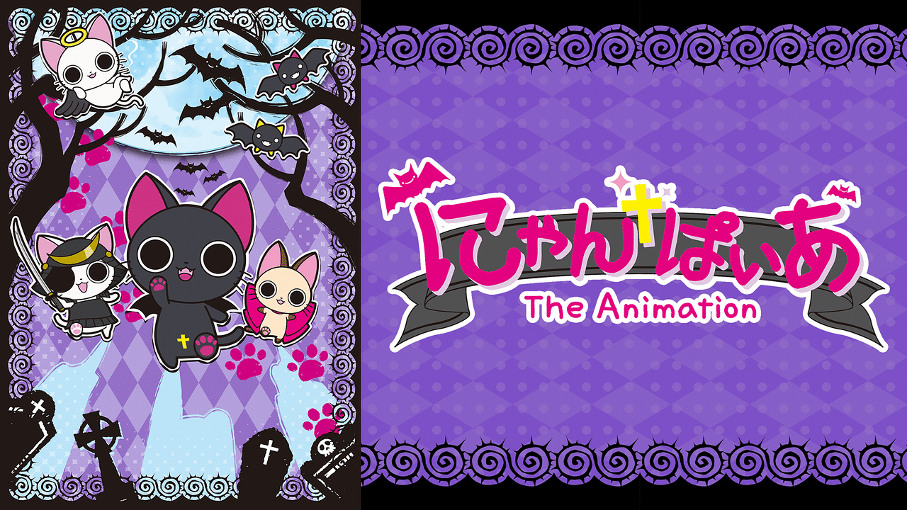 Amazon.co.jp: DVD「にゃんぱいあ-The Animation-」 通常版