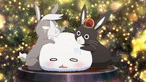 第11羽