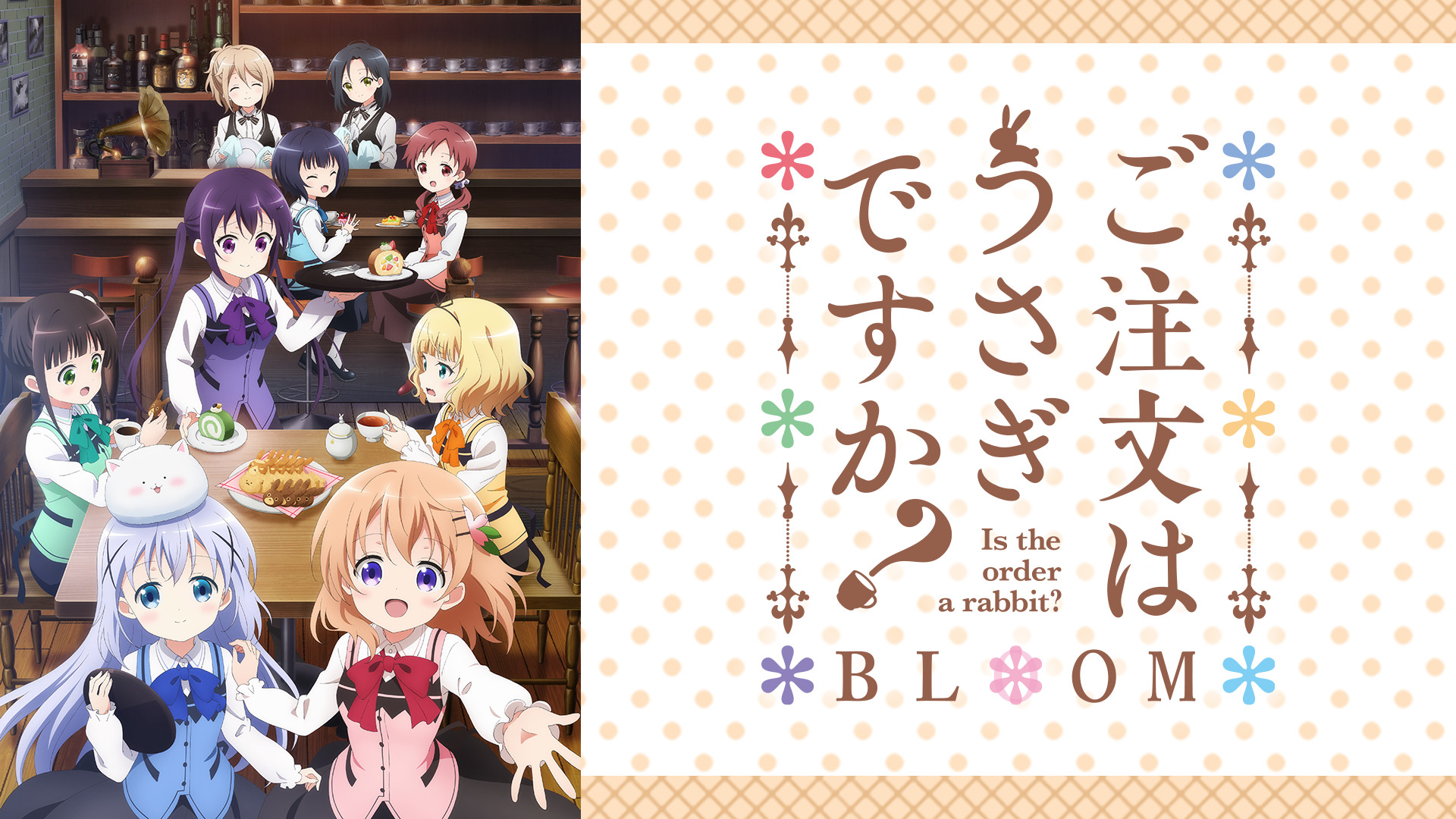 ご注文はうさぎですか？ BLOOM | アニメ動画見放題 | dアニメストア