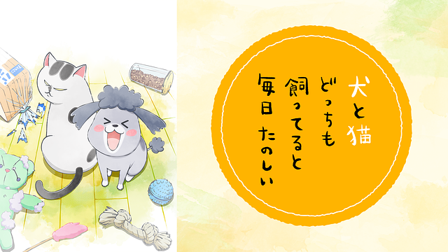 犬と猫どっちも飼ってると毎日たのしい_1