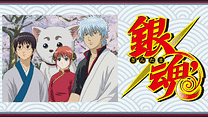 銀魂 ジャンプアニメツアー2005&2008_6