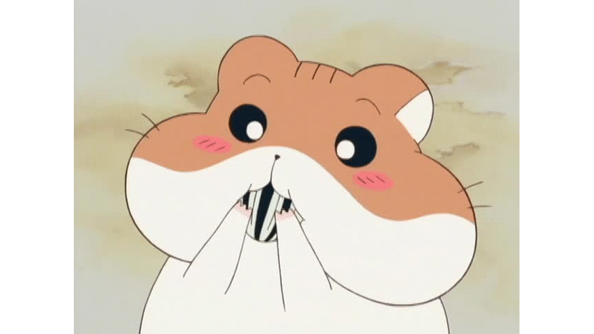 ハムスター倶楽部 #11～20 | dアニメストア