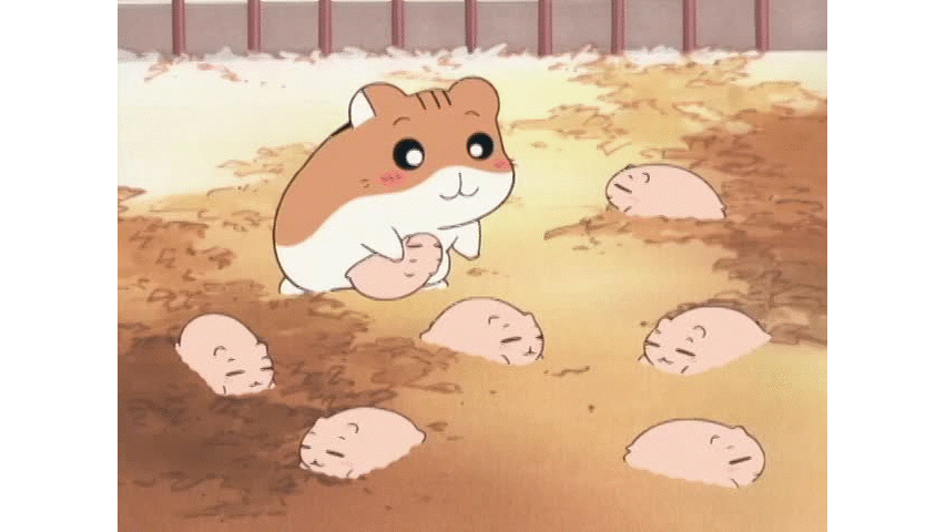 ハムスター倶楽部 #121～130 | dアニメストア