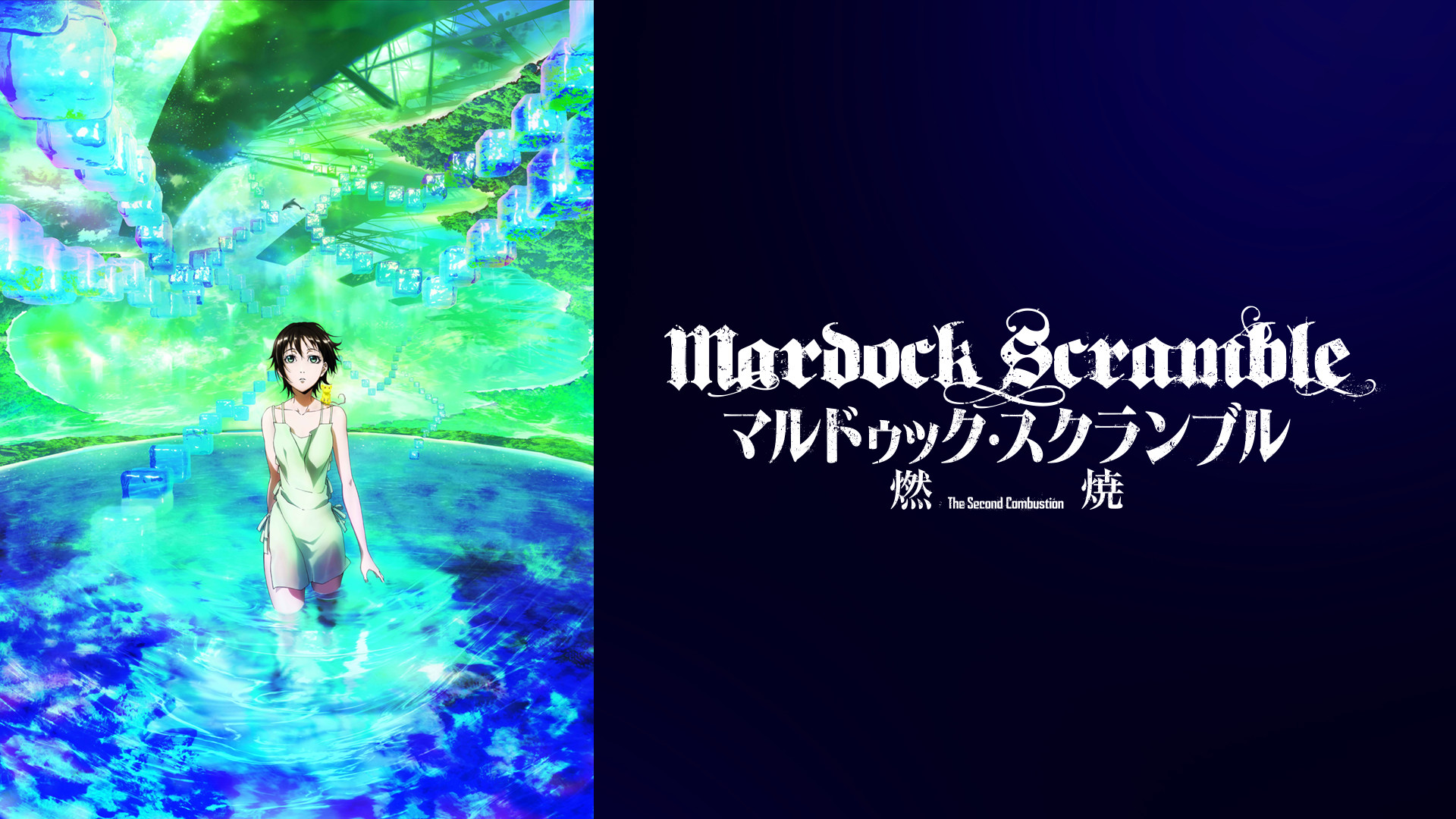 マルドゥック・スクランブル 燃焼 | アニメ動画見放題 | dアニメストア