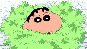 258