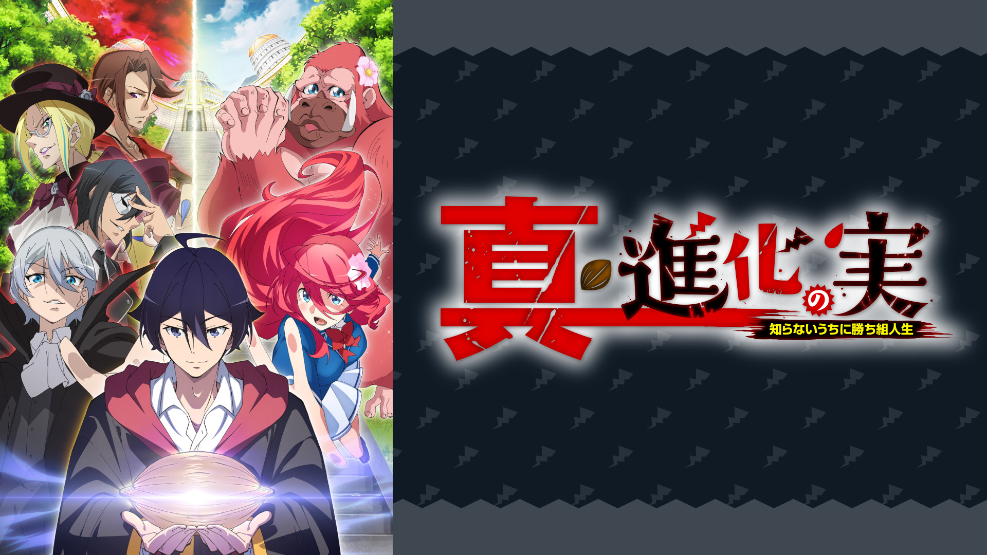 真・進化の実～知らないうちに勝ち組人生～ | アニメ動画見放題