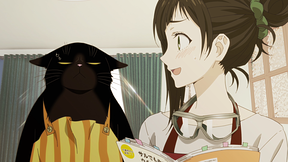 デキる猫は今日も憂鬱 全13話 全卷 デキる猫は今日も憂鬱 全13話 完全版（ボックス入り）,DVD
