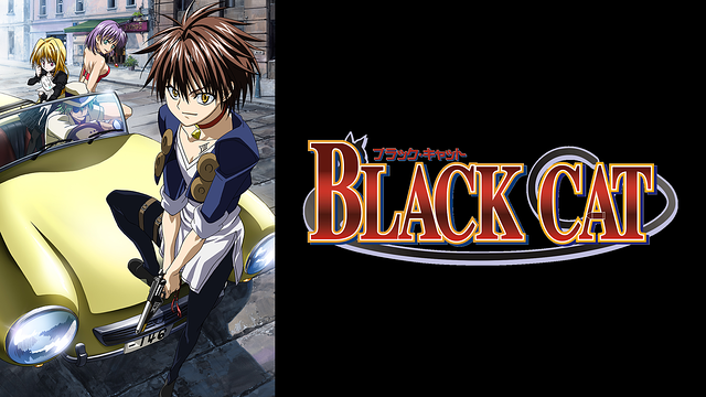 BLACK CAT_1