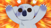 #11