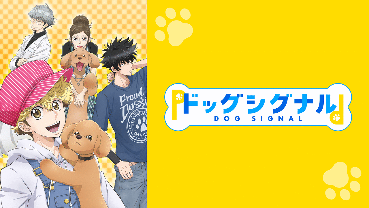 ドッグシグナル | アニメ動画見放題 | dアニメストア