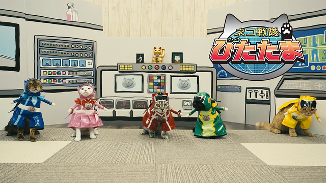 ネコ戦隊 びたたま_1