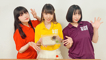 第5食目