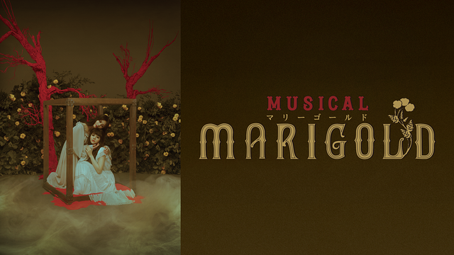 ミュージカル『マリーゴールド』（TRUMPシリーズ）_1