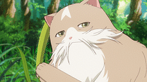 猫と竜 第6話