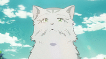 猫と竜 第11話