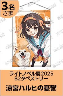 涼宮ハルヒの憂鬱 B2タペストリー