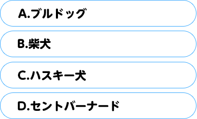 (A)ブルドッグ　(B)柴犬　(C)ハスキー犬　(D)セントバーナード
