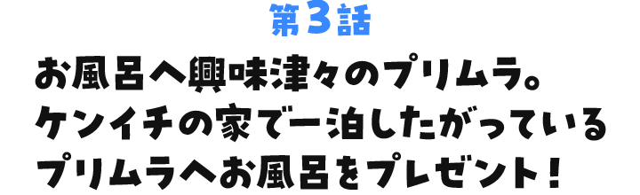 お風呂へ興味津々のプリムラ。ケンイチの家で一泊したがっているプリムラへお風呂をプレゼント!