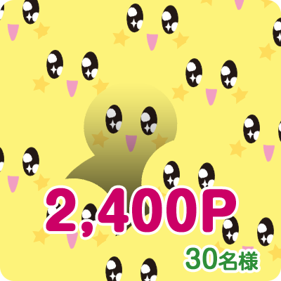2,400P 30名様
