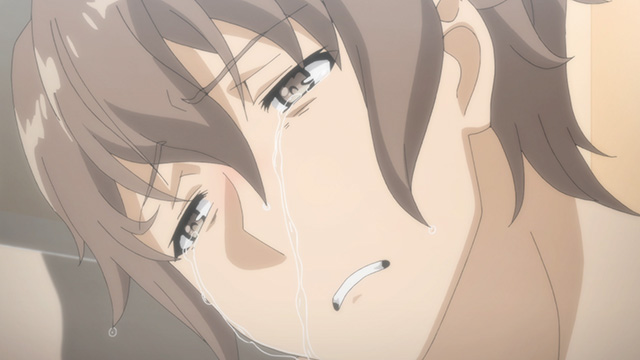 青春ブタ野郎はバニーガール先輩の夢を見ない