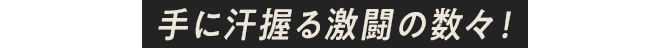 手に汗握る激闘の数々！