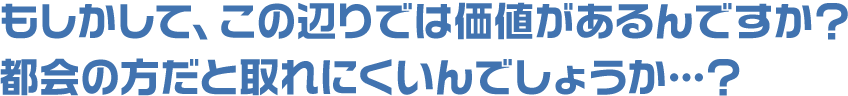 もしかしてこの辺りでは価値があるんですか? 都会の方だと取れにくいんでしょうか…?