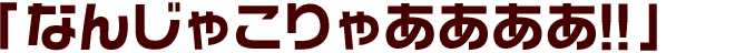 「なんじゃこりゃああああ!!」