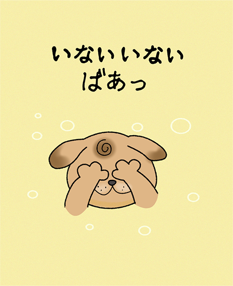 いないいないばあっ